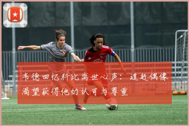 韦德回忆科比离世心声：追赶偶像渴望获得他的认可与尊重