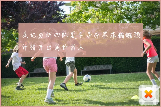 美记分析四队夏季争夺墨菲鹈鹕预计将开出高价留人