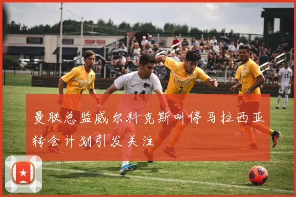 曼联总监威尔科克斯叫停马拉西亚转会计划引发关注