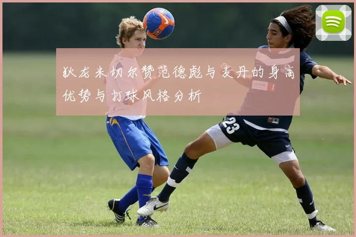 狄龙米切尔赞范德彪与麦丹的身高优势与打球风格分析