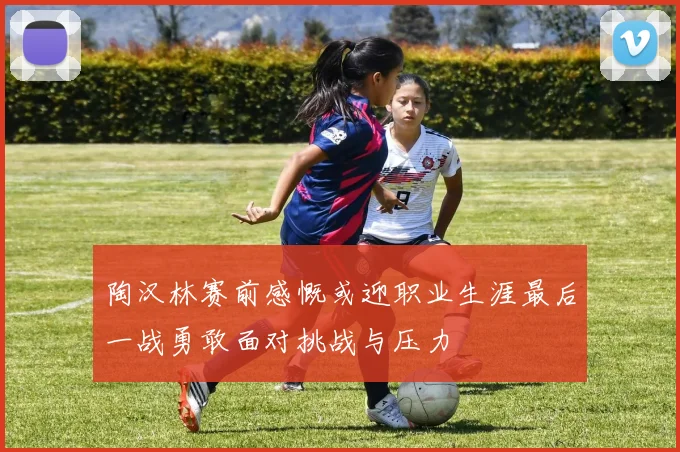 陶汉林赛前感慨或迎职业生涯最后一战勇敢面对挑战与压力